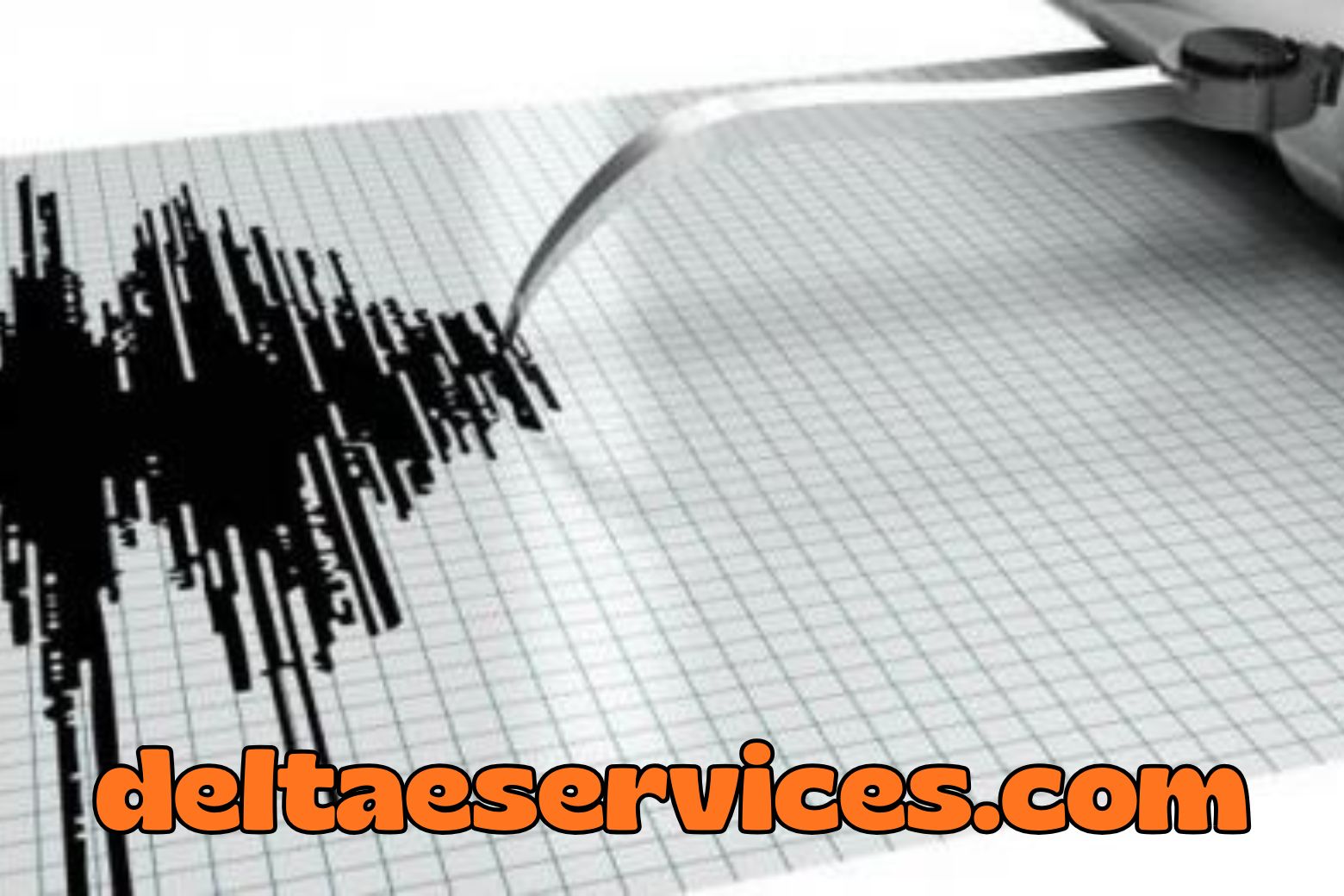 Your paragraph text (3)